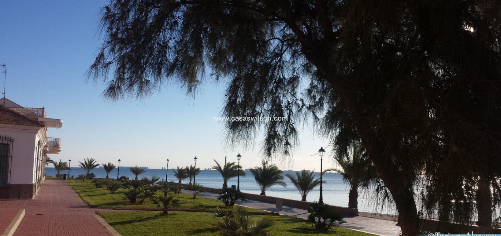 New Build - Villa - Los Alcazares - Serena Golf