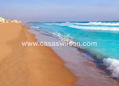 New Build - Villa - San Fulgencio - El Oasis