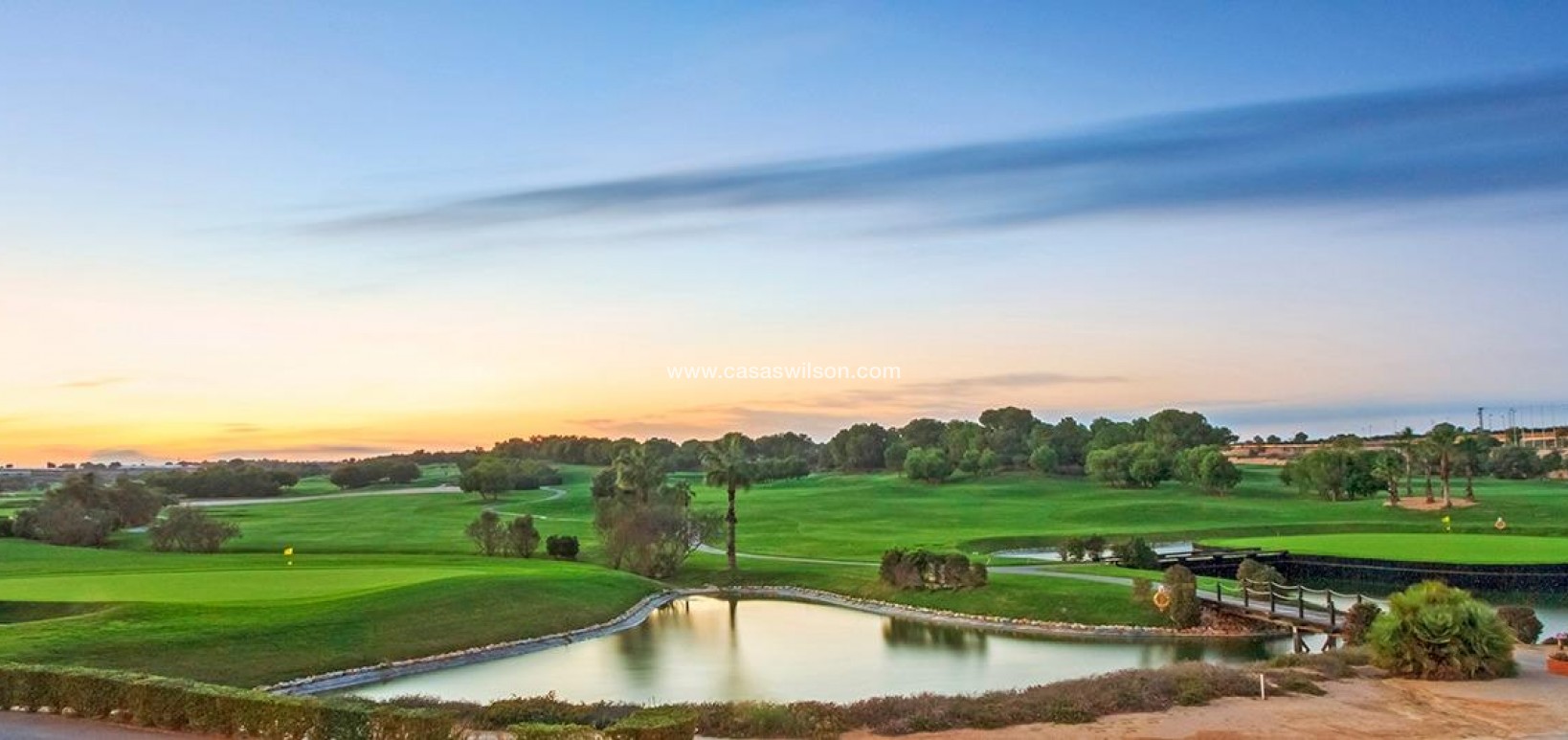 New Build - Villa - Pilar de la Horadada - Lo Romero Golf