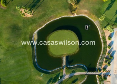 New Build - Villa - Pilar de la Horadada - Lo Romero Golf