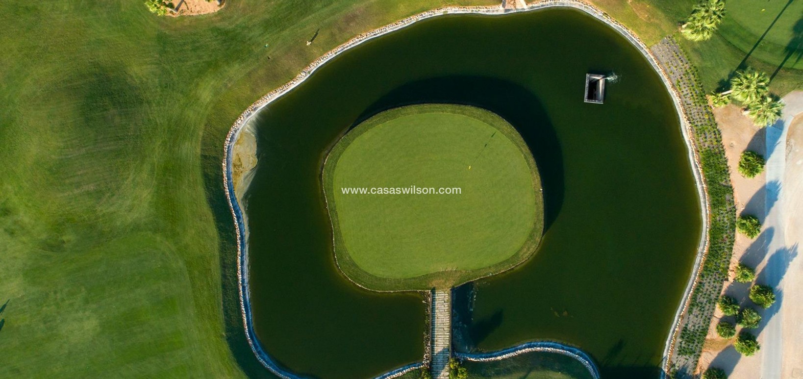 New Build - Villa - Pilar de la Horadada - Lo Romero Golf