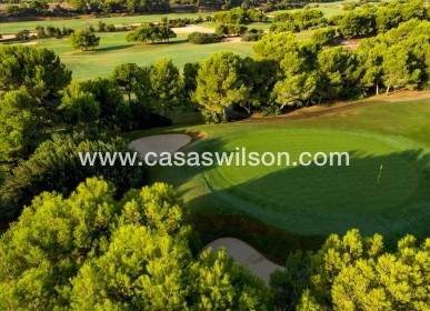 New Build - Villa - Pilar de la Horadada - Lo Romero Golf