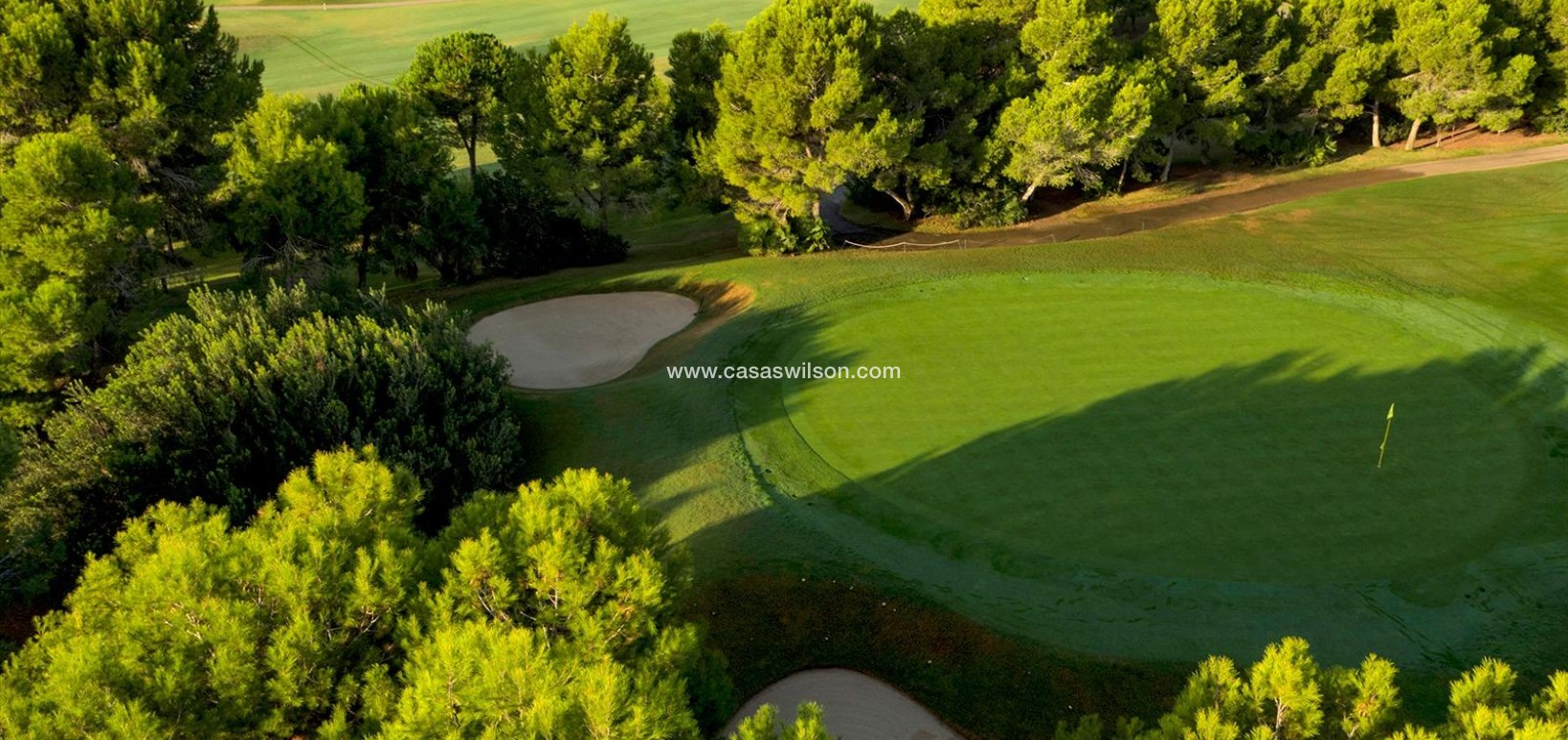 New Build - Villa - Pilar de la Horadada - Lo Romero Golf