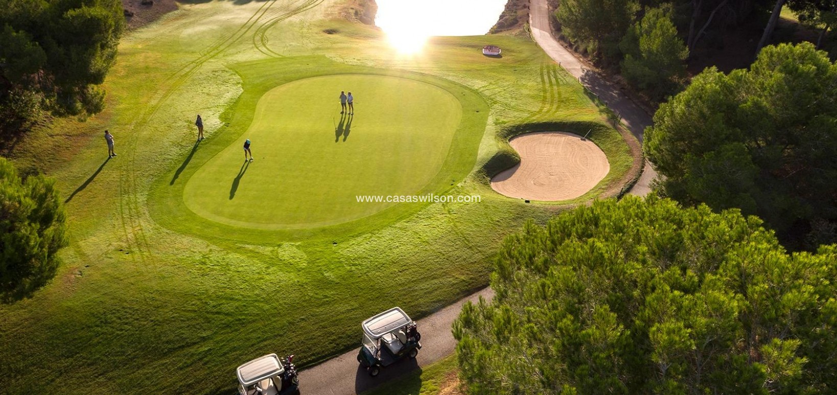 New Build - Villa - Pilar de la Horadada - Lo Romero Golf