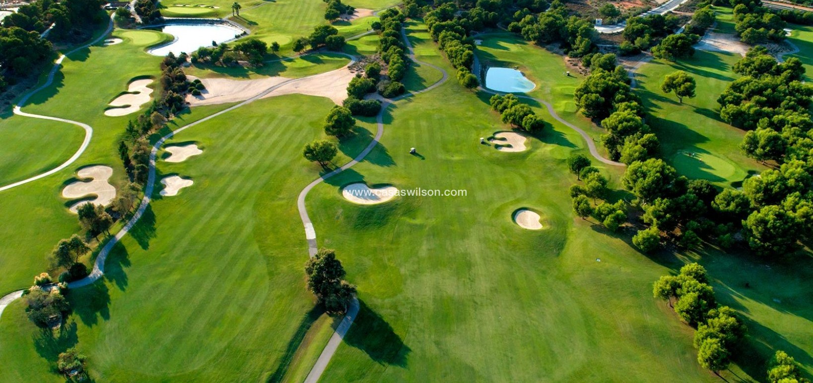 New Build - Villa - Pilar de la Horadada - Lo Romero Golf