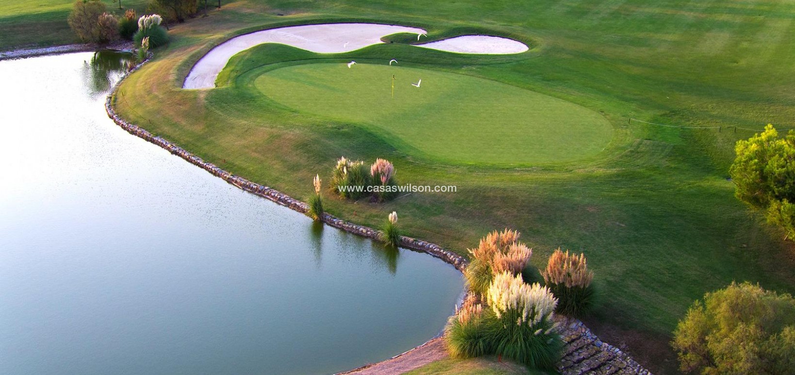 New Build - Villa - Pilar de la Horadada - Lo Romero Golf