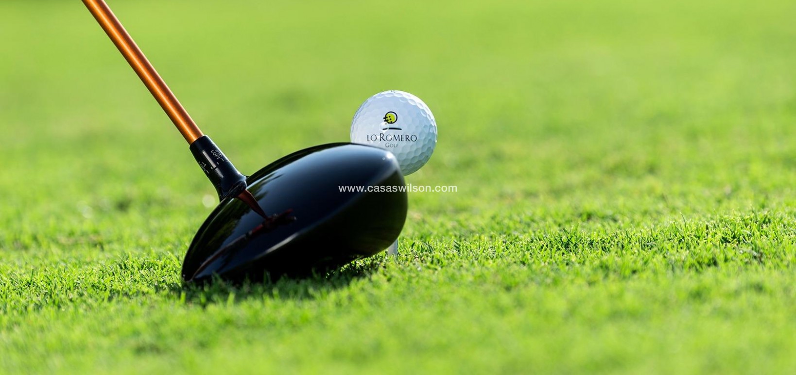 New Build - Villa - Pilar de la Horadada - Lo Romero Golf