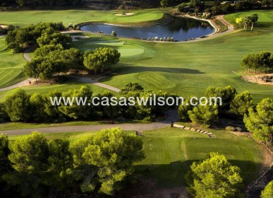 New Build - Villa - Pilar de la Horadada - Lo Romero Golf