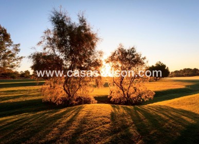 New Build - Villa - Pilar de la Horadada - Lo Romero Golf