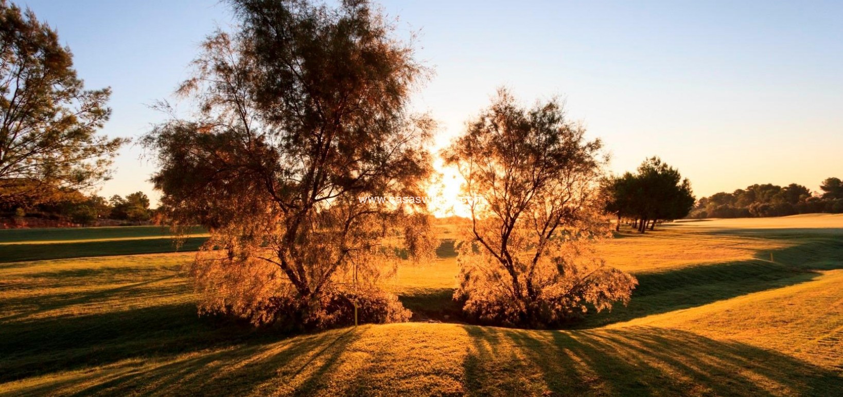 New Build - Villa - Pilar de la Horadada - Lo Romero Golf