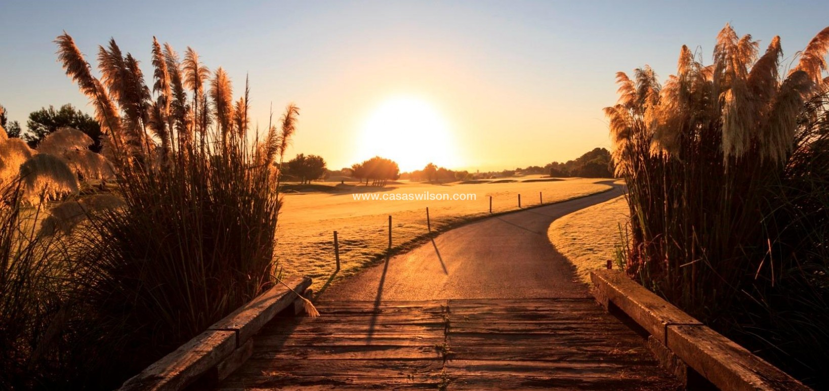 New Build - Villa - Pilar de la Horadada - Lo Romero Golf