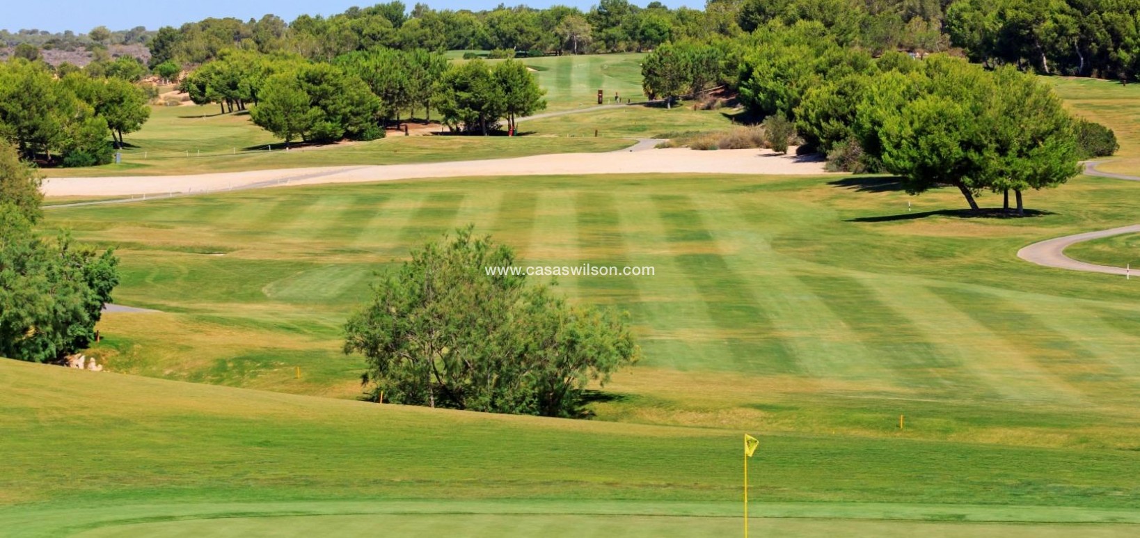 New Build - Villa - Pilar de la Horadada - Lo Romero Golf