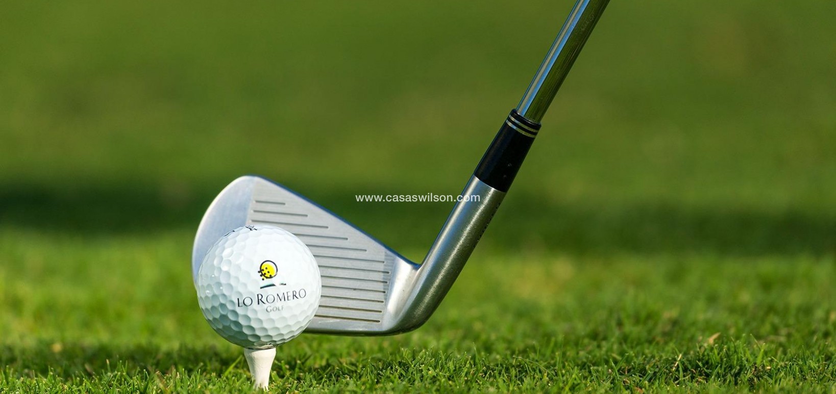 New Build - Villa - Pilar de la Horadada - Lo Romero Golf