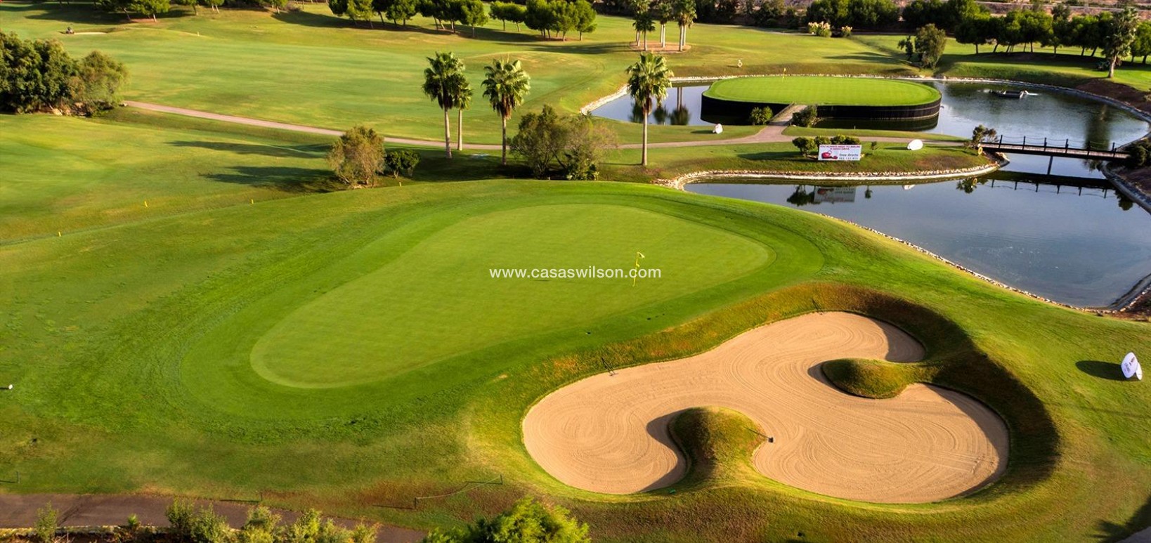 New Build - Villa - Pilar de la Horadada - Lo Romero Golf