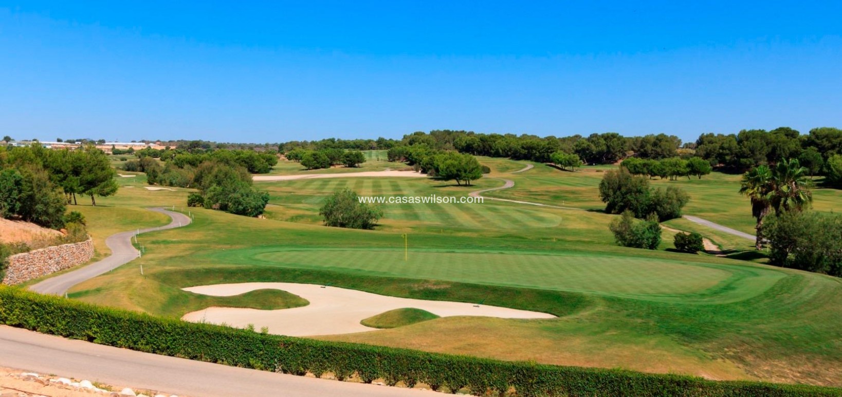 New Build - Villa - Pilar de la Horadada - Lo Romero Golf