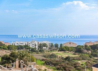 New Build - Villa - Guardamar del Segura - Els secans