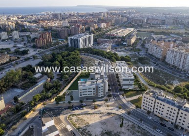 New Build - Apartment - Alicante - Pau Ii