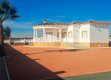 Sale - Country Property/Finca - Catral