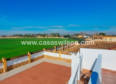 Sale - Country Property/Finca - Catral