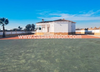 Sale - Country Property/Finca - Catral