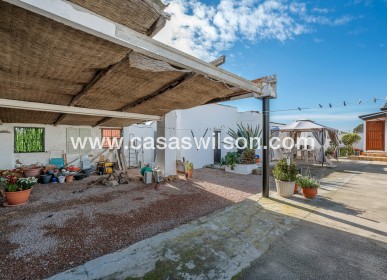 Sale - Country Property/Finca - Elche Pedanías - Daimés
