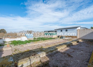 Sale - Country Property/Finca - Elche Pedanías - Daimés
