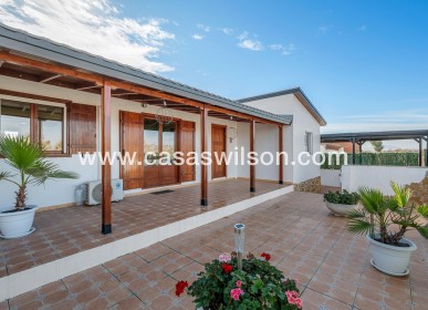 Sale - Country Property/Finca - Elche Pedanías - Daimés