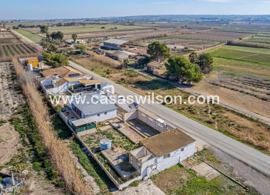 Sale - Country Property/Finca - Elche Pedanías - Daimés