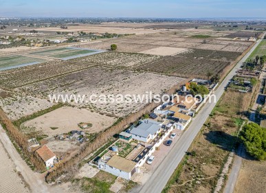 Sale - Country Property/Finca - Elche Pedanías - Daimés