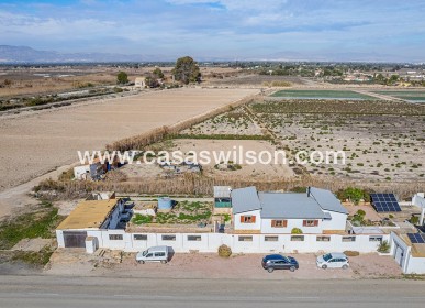 Sale - Country Property/Finca - Elche Pedanías - Daimés