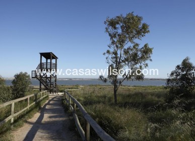 New Build - Villa - Torrevieja - Sector 25