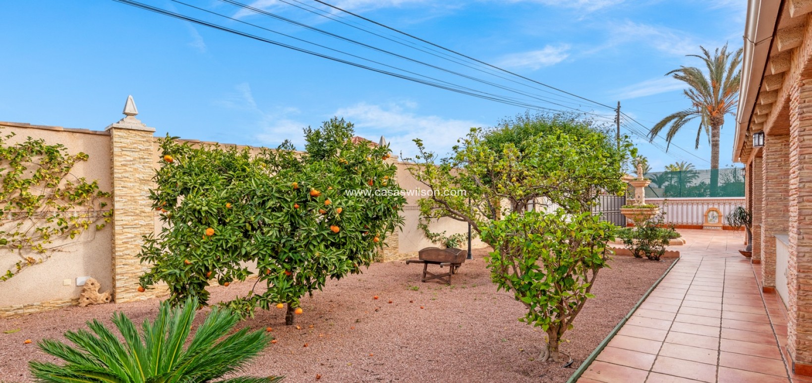 Sale - Villa - Torrevieja