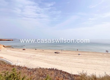 New Build - Bungalow - Pilar de la Horadada - Torre de la Horadada