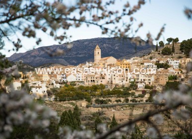 New Build - Villa - Polop - Polop Hills