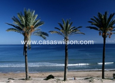 New Build - Bungalow - Pilar de la Horadada - Parque Ramon eugenio Escudero