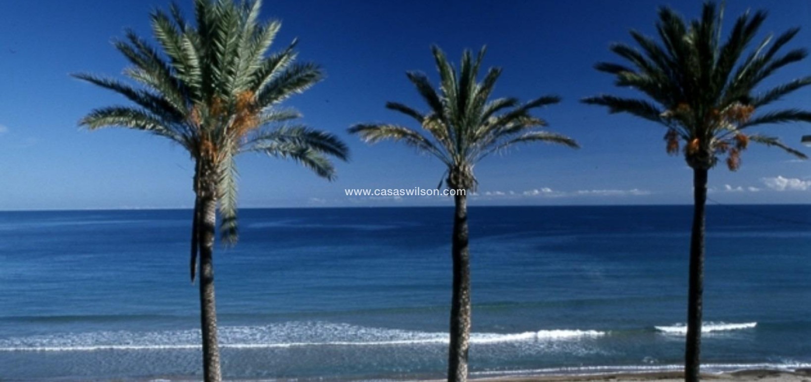 New Build - Bungalow - Pilar de la Horadada - Parque Ramon eugenio Escudero