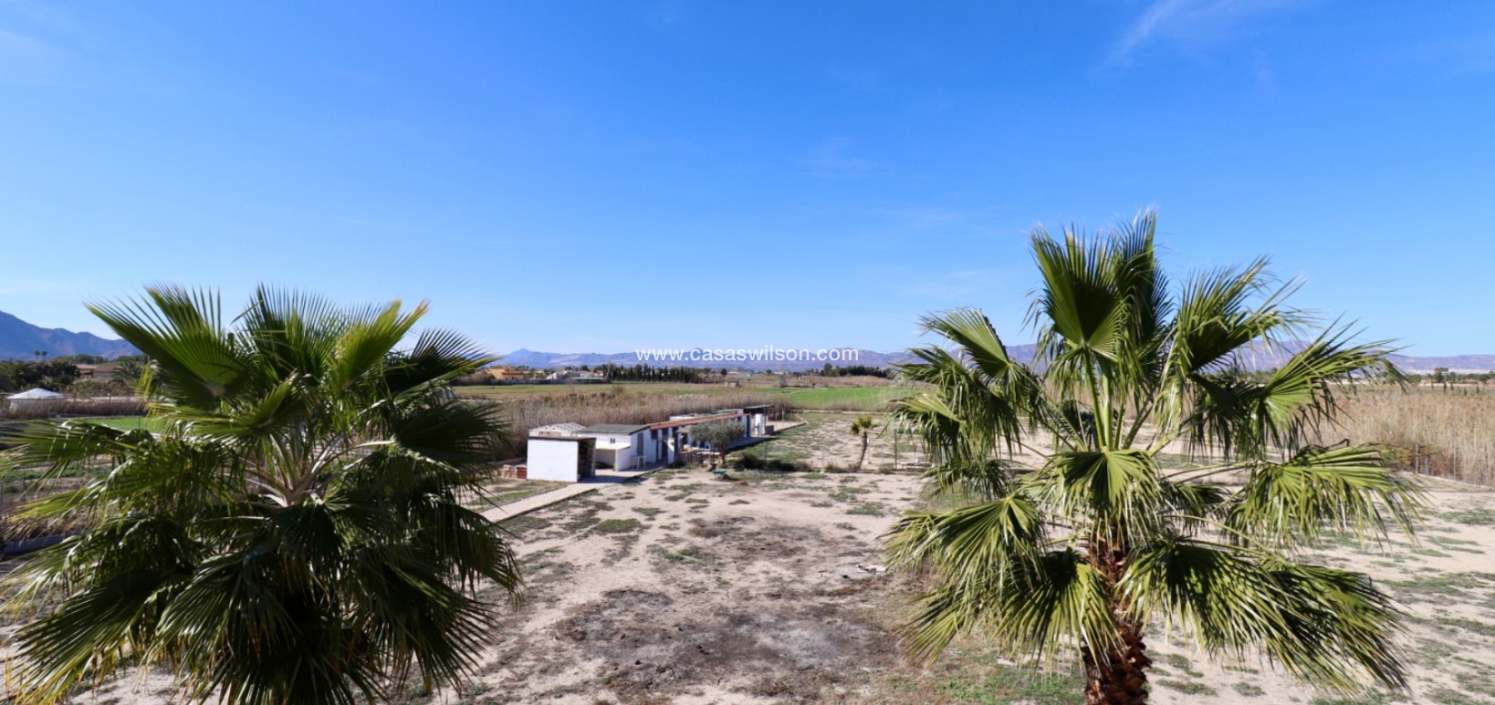 Sale - Country Property - Catral