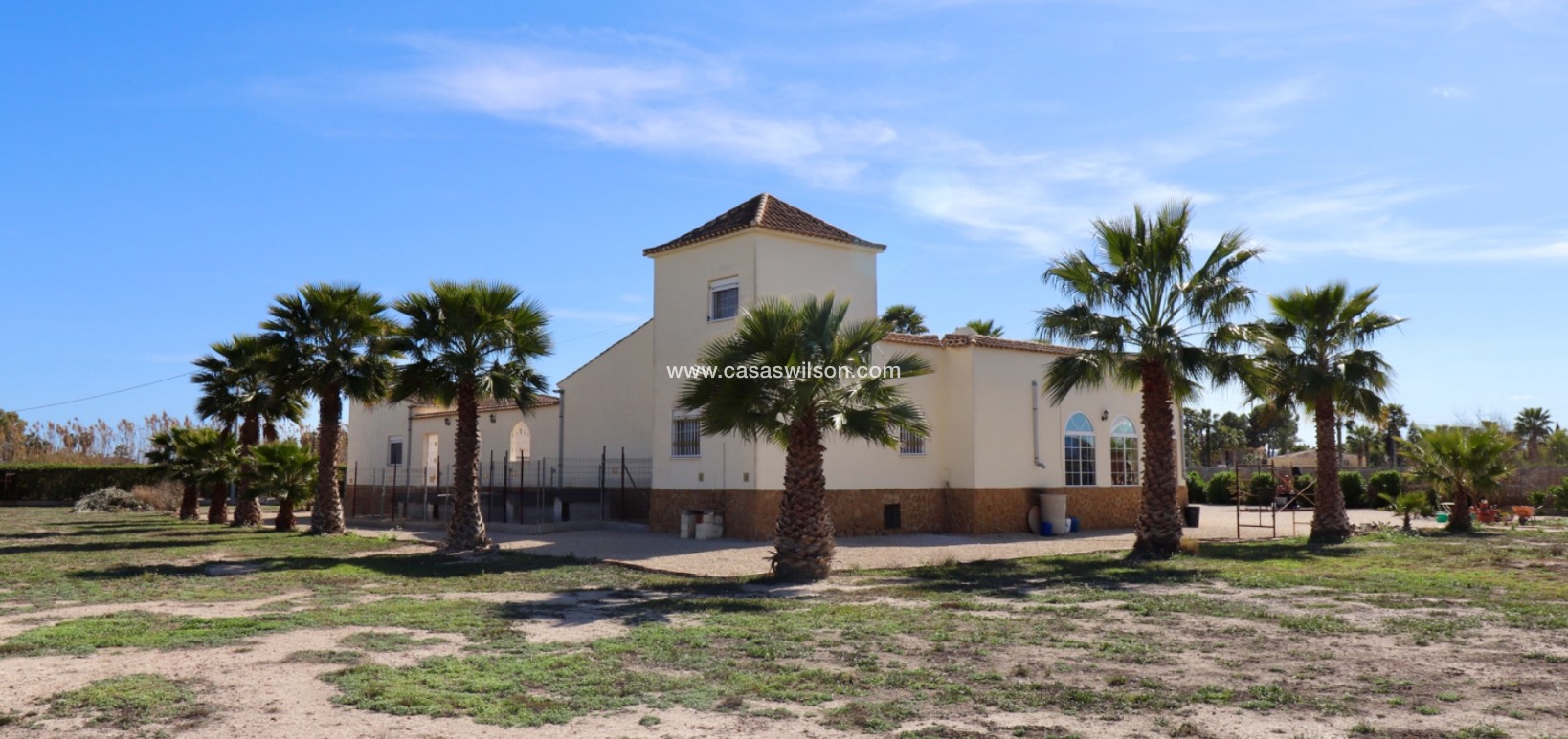 Sale - Country Property - Catral