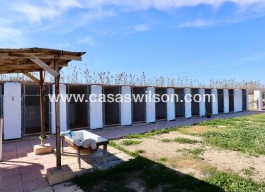 Sale - Country Property - Catral