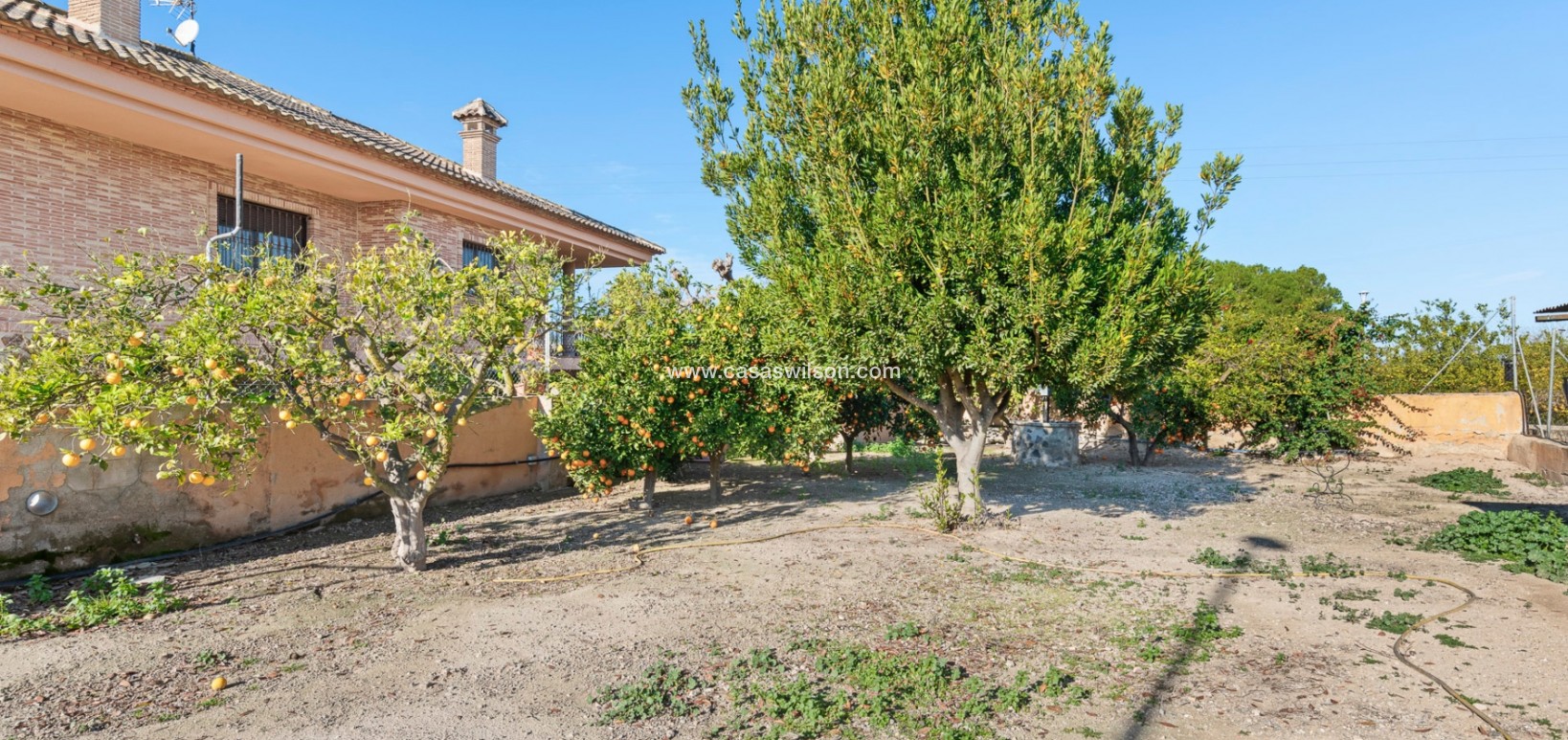 Sale - Country Property -  - Carretera de Beniel