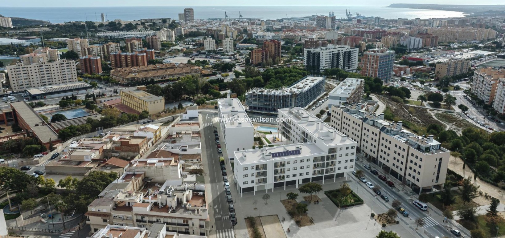 New Build - Apartment - Alicante - San Agustín