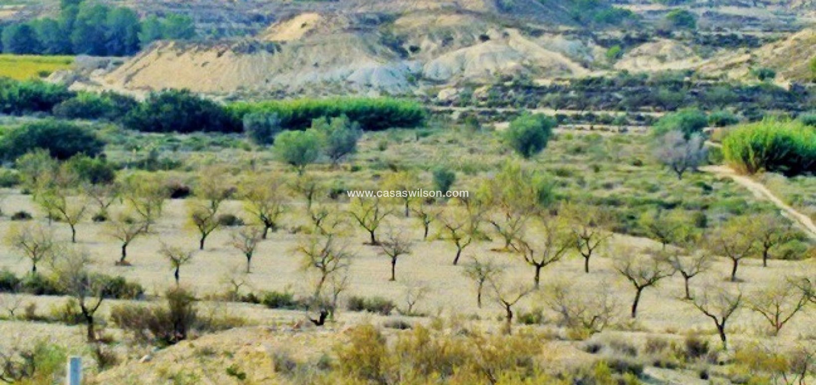 Sale - Plot of Land - Torremendo