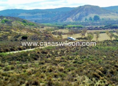 Sale - Plot of Land - Torremendo