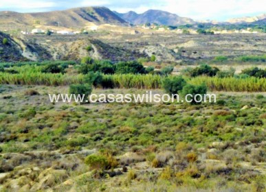 Sale - Plot of Land - Torremendo