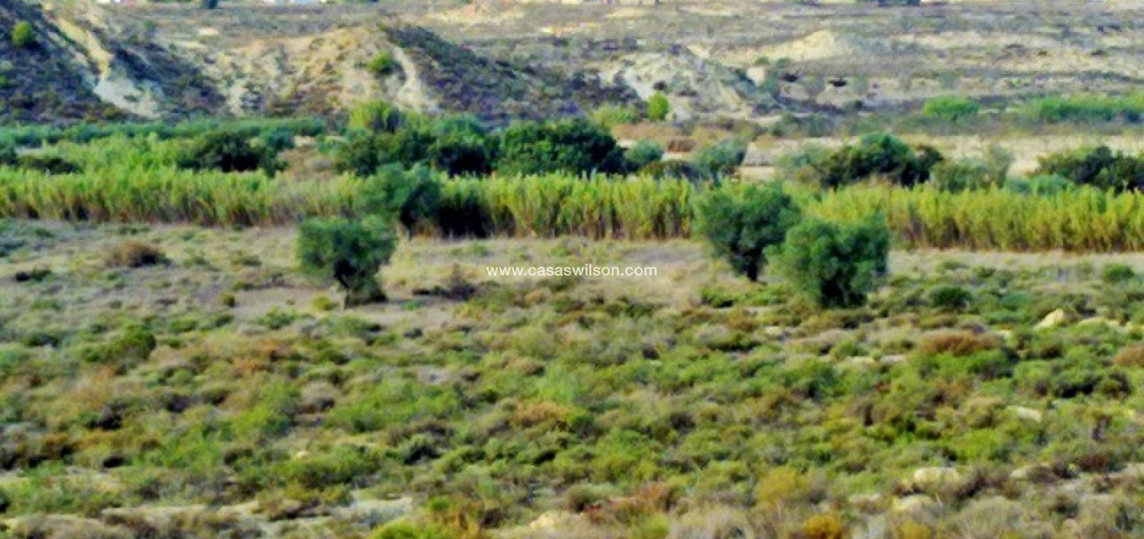 Sale - Plot of Land - Torremendo