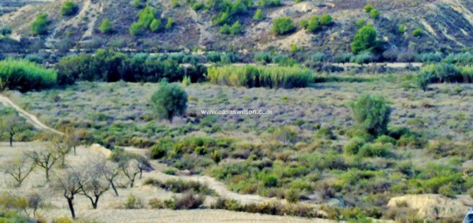 Sale - Plot of Land - Torremendo
