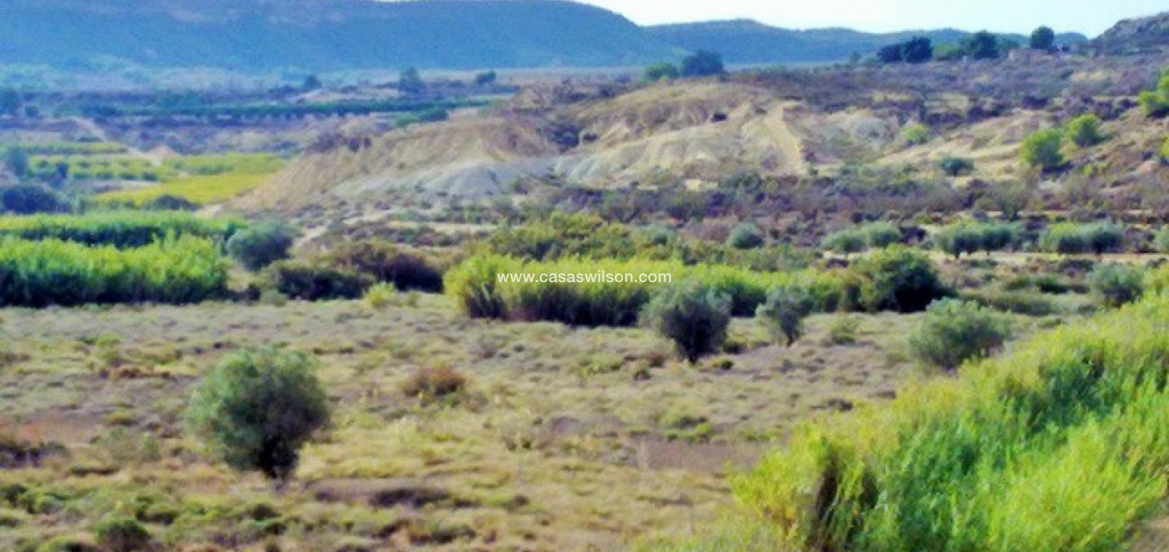 Sale - Plot of Land - Torremendo