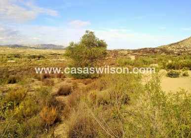 Sale - Plot of Land - Torremendo