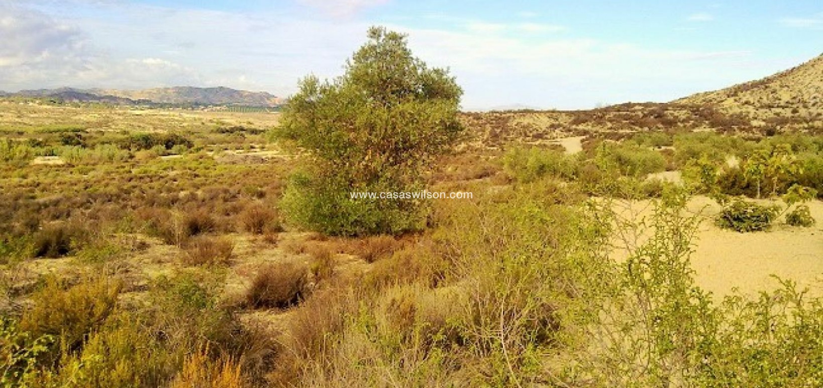 Sale - Plot of Land - Torremendo