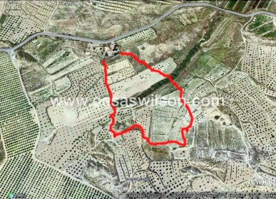 Venta - Finca - Torremendo